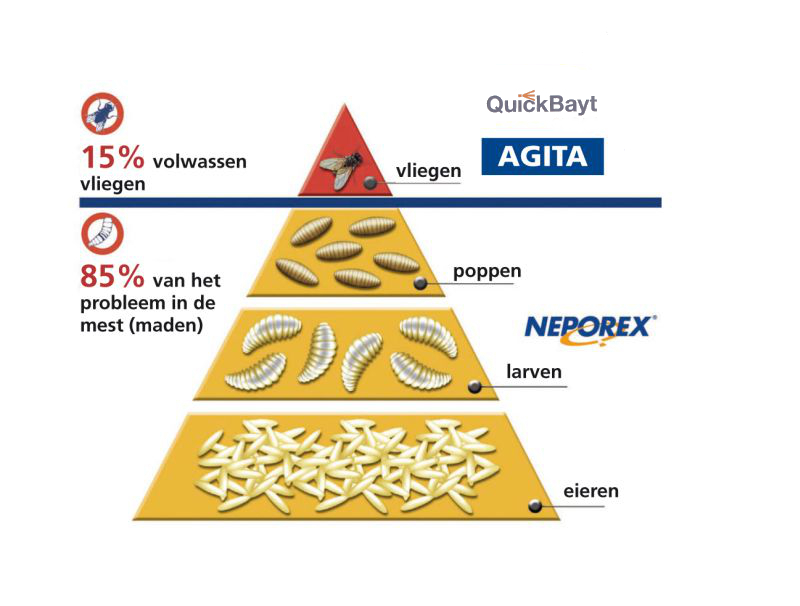 vliegen-rutgers-mechanisatie-bedum