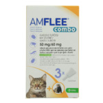 amflee-vlooien-kat-rutgers-bedum amflee vlooien kat rutgers bedum