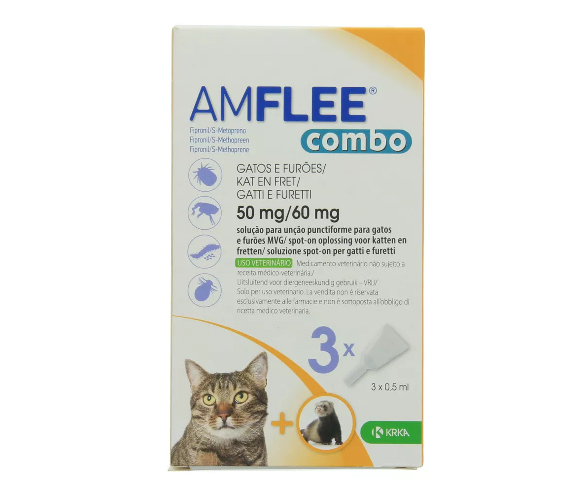 amflee vlooien kat rutgers bedum