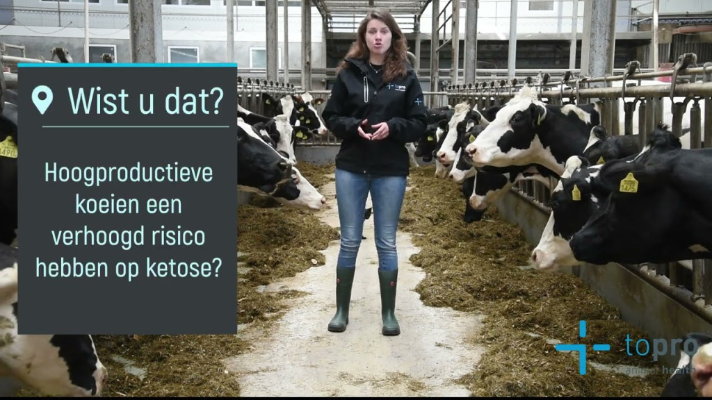 topro ketocare lmbrutgers bedum