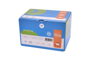 topro uterus bolus rutgers bedum