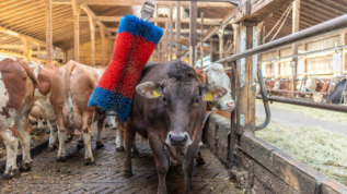 John Deere 5085M 5115M_r2z004457